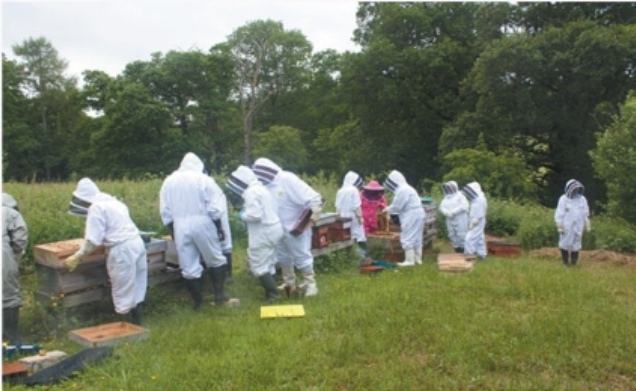 Association Apiary
