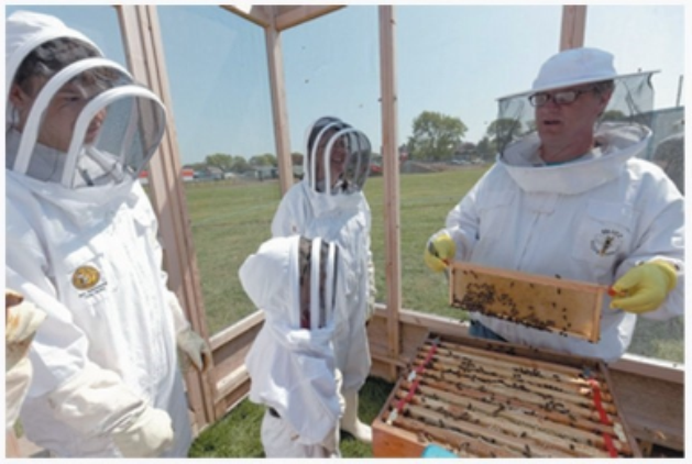 Open Hive Demonstration

